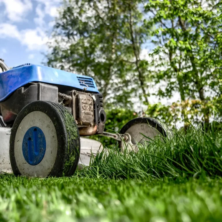 Lawn Care