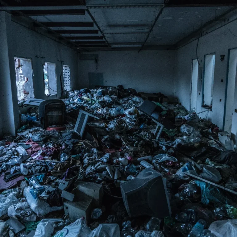 Messy House