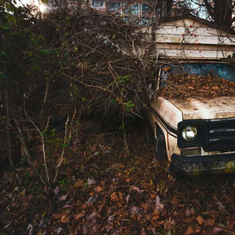 Vehicle Removal